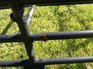 IMG_1624.jpeg