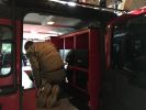 Filename : IMG_4168.JPG
Filesize : 402KB
Dimensions : 1750x1312
Date added : Nov 27, 2017 IMG_4168.JPG