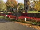 Filename : IMG_4458.JPG
Filesize : 1330KB
Dimensions : 1750x1313
Date added : Nov 04, 2018 IMG_4458.JPG