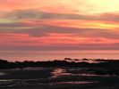 Filename : IMG_4796.JPG
Filesize : 338KB
Dimensions : 1750x1313
Date added : Jun 29, 2018 IMG_4796.JPG