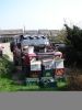 Filename : DSC04762.jpg
Filesize : 112KB
Dimensions : 600x800
Date added : Aug 01, 2017 DSC04762.jpg