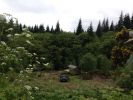 Filename : IMG_5111.jpg
Filesize : 1923KB
Dimensions : 3264x2448
Date added : Jun 03, 2014 IMG_5111.jpg