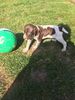 Filename : 02759139-8597-46B9-AD27-BCCD4906AF1A.jpeg
Filesize : 456KB
Dimensions : 1200x1600
Date added : Apr 23, 2019 02759139-8597-46B9-AD27-BCCD4906AF1A.jpeg