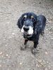 Filename : 1D470F05-0186-41E8-8987-5A1F0B0DE3A2.jpeg
Filesize : 235KB
Dimensions : 1200x1599
Date added : Oct 27, 2019 1D470F05-0186-41E8-8987-5A1F0B0DE3A2.jpeg