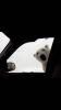 Filename : 412824F0-6CDF-4142-B9F3-E72466D42EC8.jpeg
Filesize : 15KB
Dimensions : 539x960
Date added : Mar 01, 2018 412824F0-6CDF-4142-B9F3-E72466D42EC8.jpeg