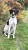 Filename : B3885611-DB14-49B8-98F0-9D4431DB93BA.jpeg
Filesize : 810KB
Dimensions : 1125x2001
Date added : Oct 30, 2019 B3885611-DB14-49B8-98F0-9D4431DB93BA.jpeg