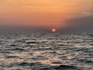 Filename : IMG_1622.JPG
Filesize : 412KB
Dimensions : 1750x1312
Date added : Aug 15, 2017 IMG_1622.JPG