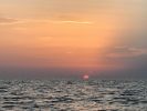 Filename : IMG_1623.JPG
Filesize : 380KB
Dimensions : 1750x1312
Date added : Aug 15, 2017 IMG_1623.JPG