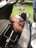 Filename : IMG_1943.JPG
Filesize : 739KB
Dimensions : 1750x2333
Date added : Sep 19, 2017 IMG_1943.JPG