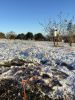Filename : IMG_2029.JPG
Filesize : 1374KB
Dimensions : 1750x2333
Date added : Jan 05, 2017 IMG_2029.JPG