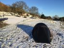 Filename : IMG_2032.JPG
Filesize : 839KB
Dimensions : 1750x1312
Date added : Jan 05, 2017 IMG_2032.JPG