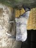 Filename : IMG_6174.JPG
Filesize : 1387KB
Dimensions : 1750x2333
Date added : Mar 03, 2017 IMG_6174.JPG