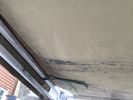 Filename : IMG_3356.jpeg
Filesize : 725KB
Dimensions : 1750x1313
Date added : Jun 18, 2023 IMG_3356.jpeg