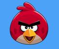 Filename : Bird.JPG
Filesize : 11KB
Dimensions : 406x336
Date added : Nov 08, 2019 Bird.JPG
