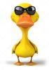 depositphotos_53811401-stock-photo-duck-with-sunglasses.jpg