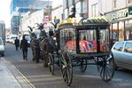 Filename : horse-1~0.jpg
Filesize : 263KB
Dimensions : 1500x1001
Date added : Feb 04, 2020 horse-1~0.jpg