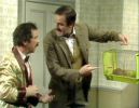 Filename : Fawlty-Towers-Basil-the-Rat.jpg
Filesize : 31KB
Dimensions : 456x351
Date added : Oct 21, 2011 Fawlty-Towers-Basil-the-Rat.jpg