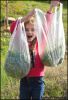 Filename : FB_IMG_1512383611897.jpg
Filesize : 289KB
Dimensions : 1403x2048
Date added : Dec 04, 2017 FB_IMG_1512383611897.jpg