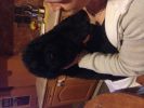 Filename : image.jpg
Filesize : 1508KB
Dimensions : 3264x2448
Date added : Nov 26, 2013 image.jpg