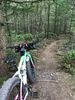 Filename : ED0740C3-B830-4BA7-BBF0-C63F85D6A0F5.jpeg
Filesize : 1768KB
Dimensions : 1536x2048
Date added : May 17, 2020 ED0740C3-B830-4BA7-BBF0-C63F85D6A0F5.jpeg