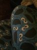 Filename : image~10.jpeg
Filesize : 287KB
Dimensions : 960x1280
Date added : Feb 21, 2017 image~10.jpeg