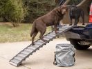 Dog-car-ramp-114.jpg