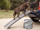 Filename : Dog-car-ramp-114.jpg
Filesize : 111KB
Dimensions : 804x603
Date added : Feb 22, 2015 Dog-car-ramp-114.jpg