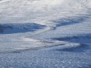 Filename : IMG_2375.JPG
Filesize : 647KB
Dimensions : 1750x1313
Date added : Jan 31, 2018 IMG_2375.JPG