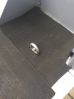 Filename : IMG_0738.jpg
Filesize : 24KB
Dimensions : 336x448
Date added : Oct 30, 2014 IMG_0738.jpg