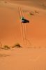 Filename : DSC_0453.JPG
Filesize : 526KB
Dimensions : 1750x2642
Date added : May 29, 2017 DSC_0453.JPG