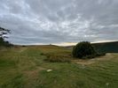 IMG_2848.jpg