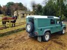 Filename : 110horses.jpg
Filesize : 292KB
Dimensions : 1080x810
Date added : Mar 14, 2018 110horses.jpg