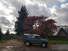 Filename : 20201006_160457.jpg
Filesize : 884KB
Dimensions : 1750x1313
Date added : Oct 08, 2020 20201006_160457.jpg