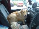 Ben in Land Rover at Matfords 2.jpg