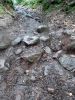 Filename : IMG_1444.JPG
Filesize : 1690KB
Dimensions : 1750x2333
Date added : Mar 30, 2018 IMG_1444.JPG