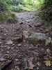 Filename : IMG_20190817_192959.jpg
Filesize : 840KB
Dimensions : 1750x2333
Date added : Dec 01, 2019 IMG_20190817_192959.jpg