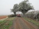 Winter 006-1.jpg
