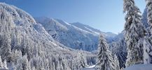 Filename : IMG-20191230-WA0010.jpg
Filesize : 156KB
Dimensions : 1600x736
Date added : Jan 08, 2020 IMG-20191230-WA0010.jpg