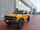 bronco~0.jpg