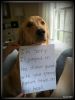 Filename : !cid_47958714F3F44A13AF5BA5FB52BA0CDE@DianaHomePC.jpg
Filesize : 104KB
Dimensions : 500x658
Date added : Mar 29, 2013 !cid_47958714F3F44A13AF5BA5FB52BA0CDE@DianaHomePC.jpg