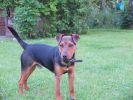 Filename : DSCF1438.JPG
Filesize : 2793KB
Dimensions : 4000x3000
Date added : Aug 11, 2014 DSCF1438.JPG
