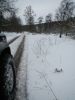 Filename : DSCN1110.JPG
Filesize : 6495KB
Dimensions : 3456x4608
Date added : Mar 25, 2013 DSCN1110.JPG