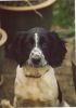 Filename : Billy Sitting.jpg
Filesize : 79KB
Dimensions : 742x1055
Date added : Sep 20, 2013 Billy Sitting.jpg