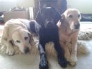 Filename : 20150223_140717.jpg
Filesize : 808KB
Dimensions : 2560x1920
Date added : Jun 08, 2015 20150223_140717.jpg