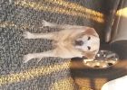 Filename : 20160815_195248.jpg
Filesize : 140KB
Dimensions : 716x510
Date added : Aug 22, 2016 20160815_195248.jpg