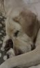 Filename : IMAG0205.jpg
Filesize : 670KB
Dimensions : 1552x2592
Date added : Aug 14, 2014 IMAG0205.jpg