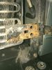 Filename : 01-jan 18 aa iphone 273.JPG
Filesize : 132KB
Dimensions : 480x640
Date added : Feb 03, 2019 01-jan 18 aa iphone 273.JPG