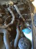 Filename : image~0.jpeg
Filesize : 818KB
Dimensions : 1750x2333
Date added : Aug 23, 2016 image~0.jpeg