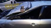 Filename : Mazda 2.jpg
Filesize : 23KB
Dimensions : 417x234
Date added : Jan 30, 2017 Mazda 2.jpg