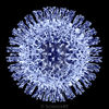 Filename : Corona.jpg
Filesize : 410KB
Dimensions : 1120x1120
Date added : Mar 05, 2020 Corona.jpg